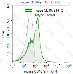 FITC anti-mouse CD107a