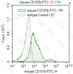 FITC anti-mouse CD107b