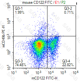 FITC anti-mouse CD122