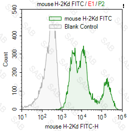 FITC anti-mouse H-2Kd/H-2Dd