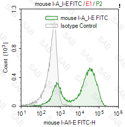 FITC anti-mouse I-A/I-E