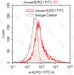 FITC anti-mouse KLRG1