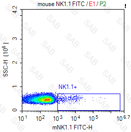 FITC anti-mouse NK1.1