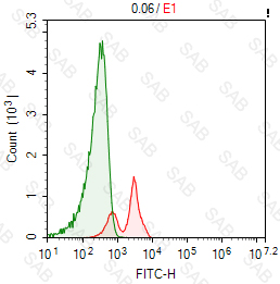 FITC anti-mouse TCRγδ