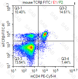 FITC anti-mouse TCRβ