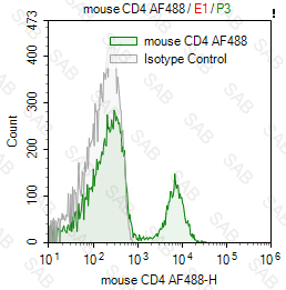 Alexa Fluor 488 anti-mouse CD4
