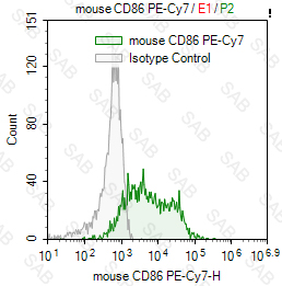 PE-Cy7 anti-mouse CD86