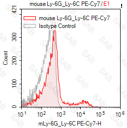 PE-Cy7 anti-mouse Ly-6G/Ly-6C