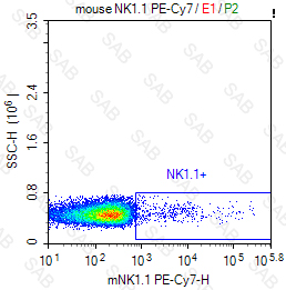 PE-Cy7 anti-mouse NK1.1