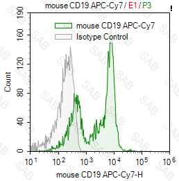 APC-Cy7 anti-mouse CD19