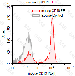 PE anti-mouse CD19