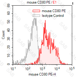 PE anti-mouse CD80