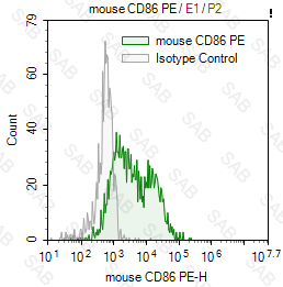 PE anti-mouse CD86