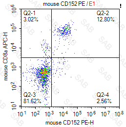 PE anti-mouse CD152