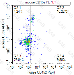 PE anti-mouse CD152