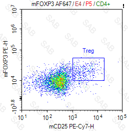 PE anti-mouse FOXP3
