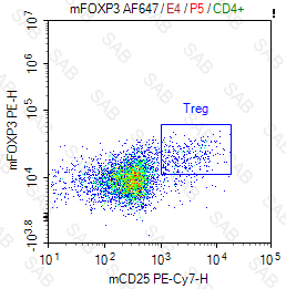 PE anti-mouse FOXP3