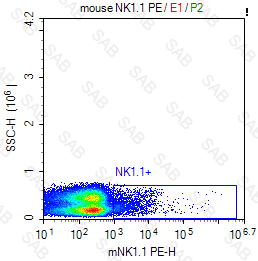 PE anti-mouse NK1.1