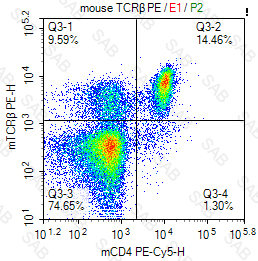 PE anti-mouse TCRβ