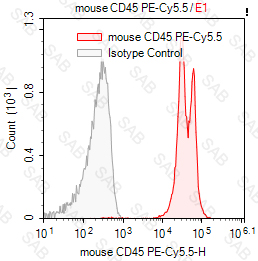 PE-Cy5.5 anti-mouse CD45