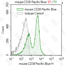 Pacific Blue anti-mouse CD38