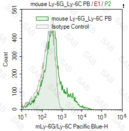 Pacific Blue anti-mouse Ly-6G/Ly-6C