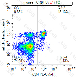 Pacific Blue anti-mouse TCRβ