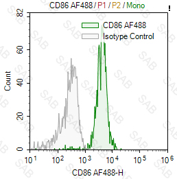 Alexa Fluor 488 anti-human CD86