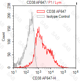 Alexa Fluor 647 anti-human CD38