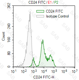 FITC anti-mouse CD24