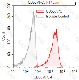 APC anti-human CD55