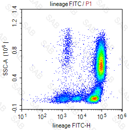 FITC anti-human lineage Cocktail (CD3  CD14  CD16  CD19  CD20  CD56)