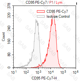 PE-Cy7 anti-human CD95