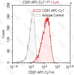 APC-Cy7 anti-human CD81