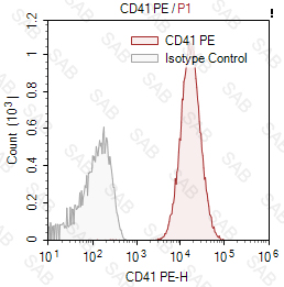 PE anti-human CD41