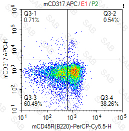 APC anti-mouse CD317
