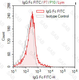 FITC anti-human IgG Fc