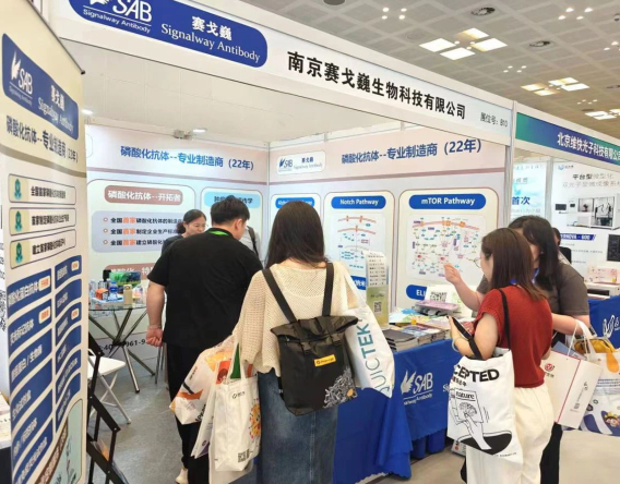 1746597742144247.jpg 33.jpg