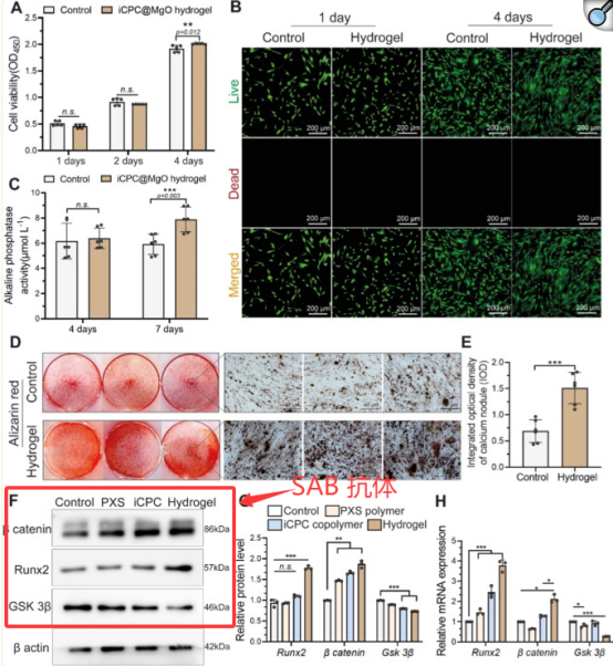 1748246880467318.png 70a660b5cd76848c52a6dbb88f76a5be.png