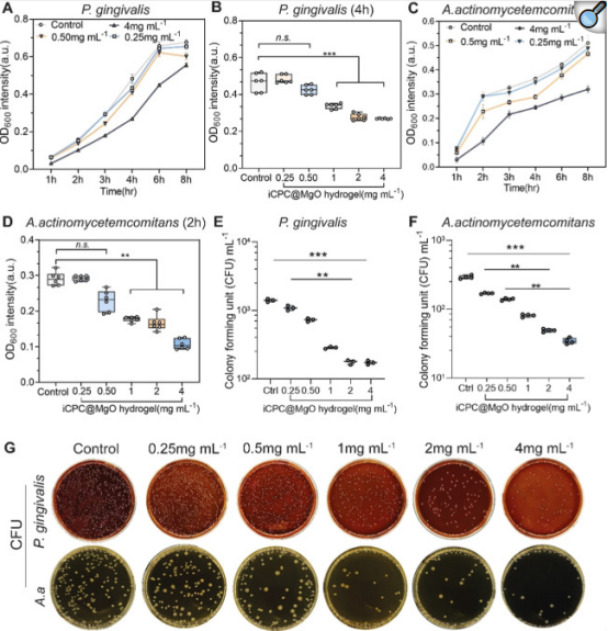 1748246897112017.png c4c4cd2098e93d8ed422844c99c37615.png