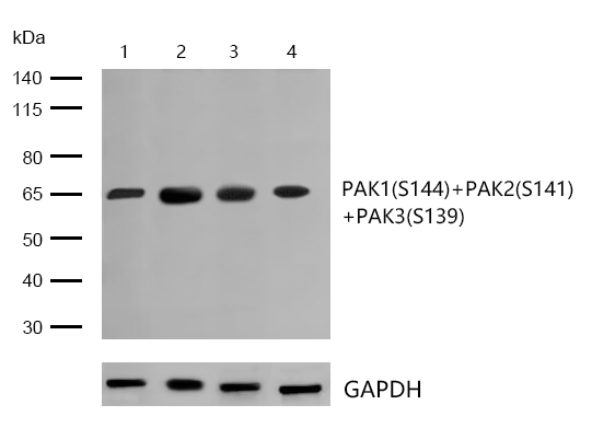 1754459566172513.png 1.png