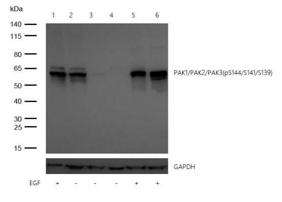 1754459608618053.png 2.png