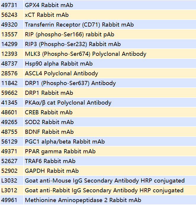 1758096345319352.png 53a2eb5c-6df5-4a04-8cc3-14d6d92189ae.png