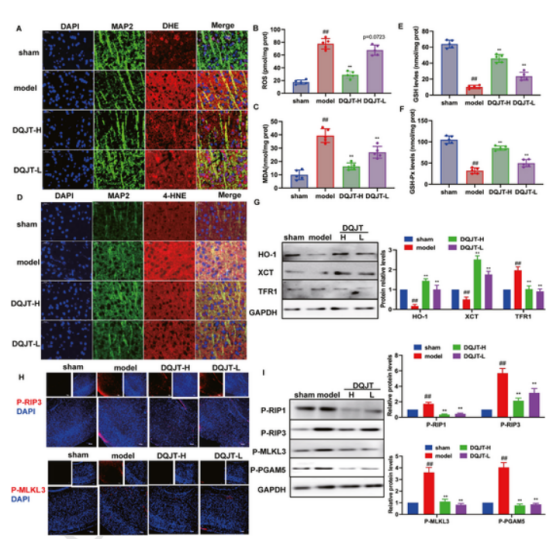 1758096604202341.png 2.png